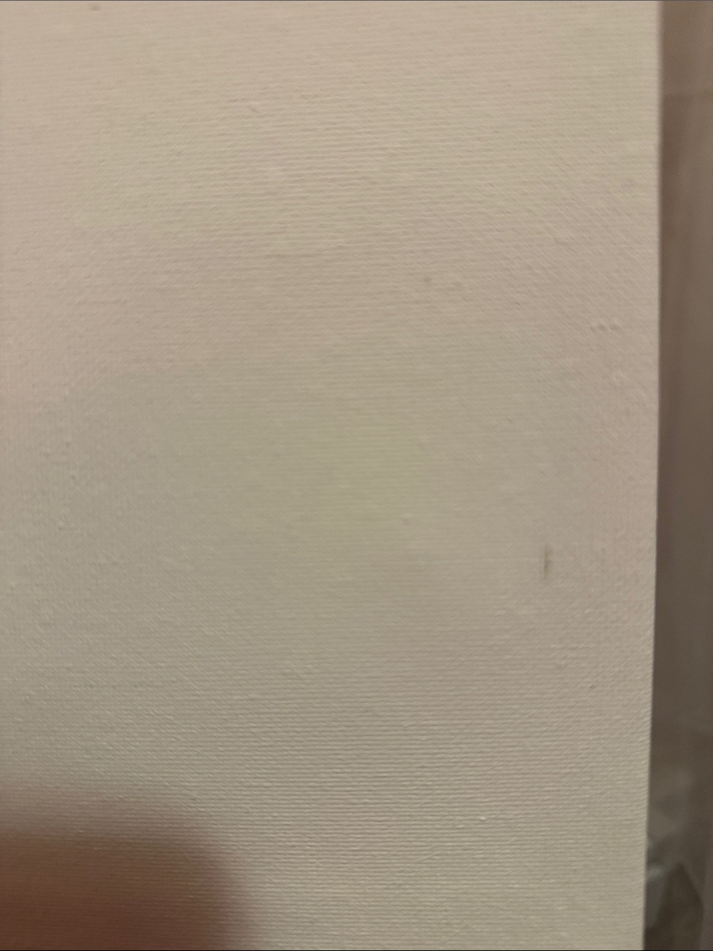 Blank paint canvas for kids - Picture 3 of 6